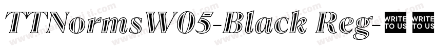 TTNormsW05-Black Reg字体转换